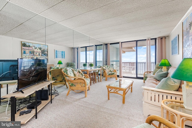 living area featuring carpet floors and a healthy amount of sunlight