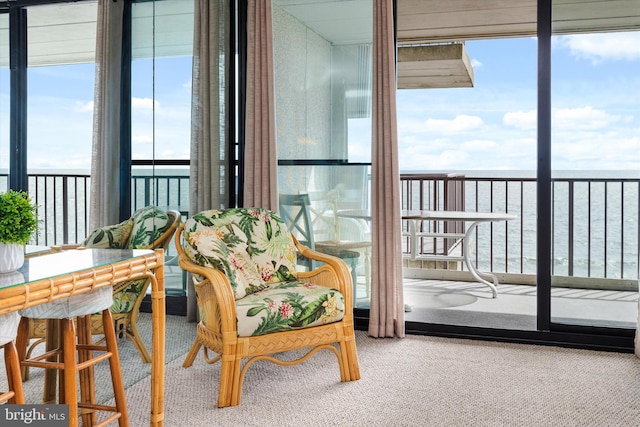 view of sunroom / solarium