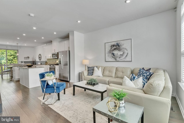 living room with dark hardwood / wood-style flooring