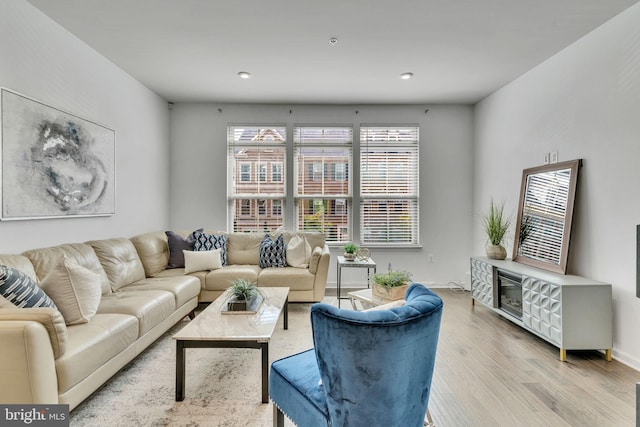 living room featuring light hardwood / wood-style flooring