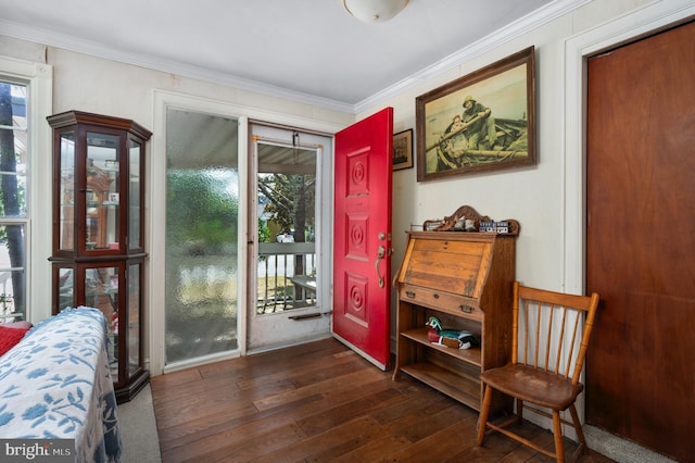 entryway with a wealth of natural light, crown molding, and dark hardwood / wood-style floors