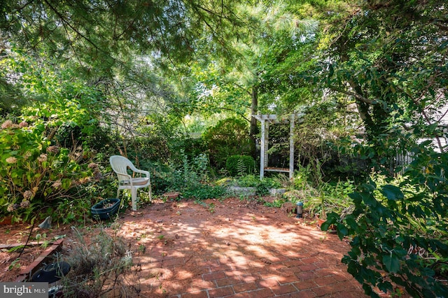 view of yard featuring a patio