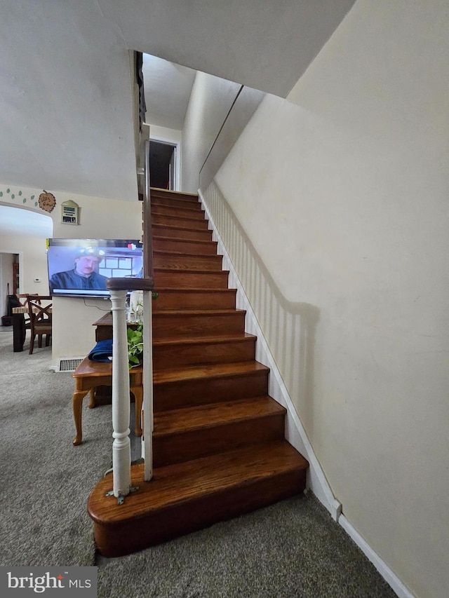 stairs featuring carpet floors