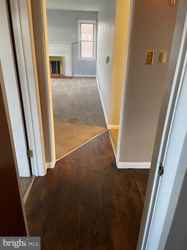 corridor featuring baseboards, carpet, and wood finished floors