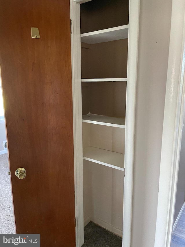 closet featuring visible vents