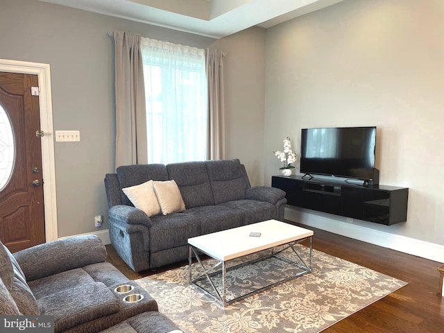 living room with wood-type flooring