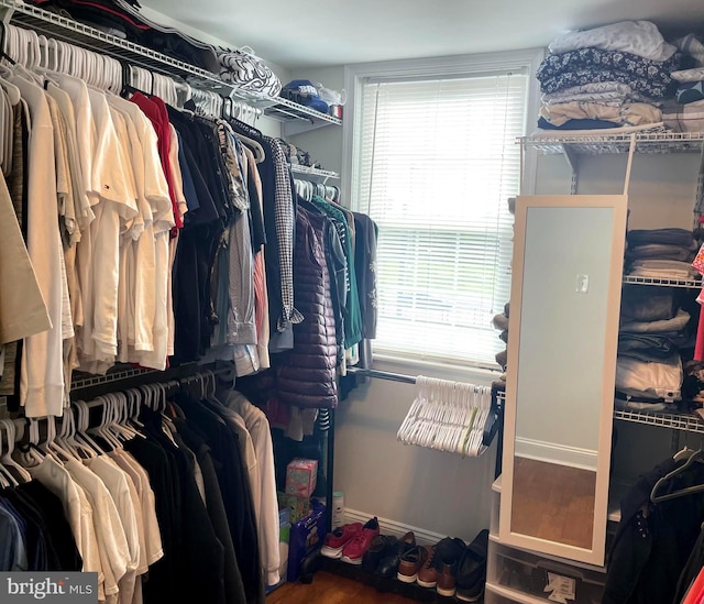 spacious closet with hardwood / wood-style floors