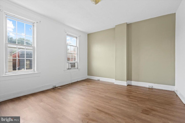 spare room featuring wood-type flooring and a wealth of natural light