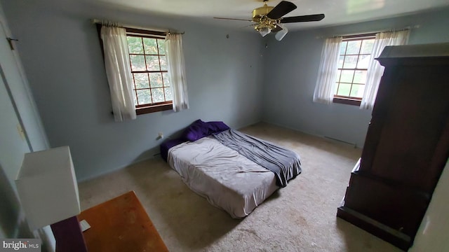 carpeted bedroom with multiple windows and ceiling fan