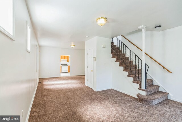 interior space featuring a wealth of natural light and carpet