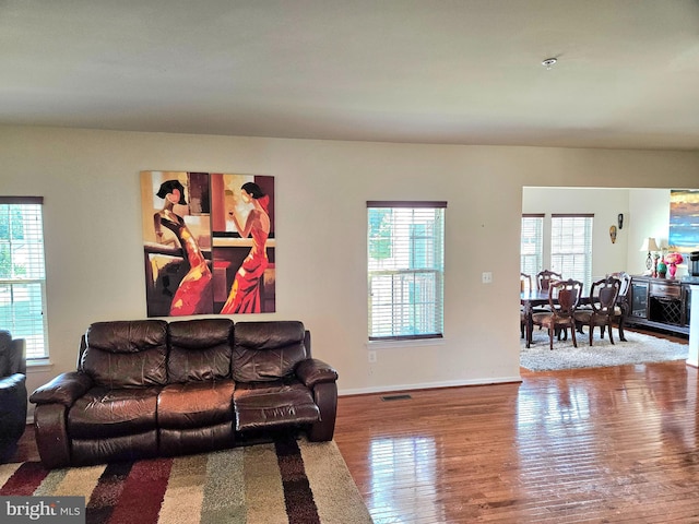 living room with wood-type flooring