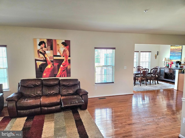 living room with wood-type flooring