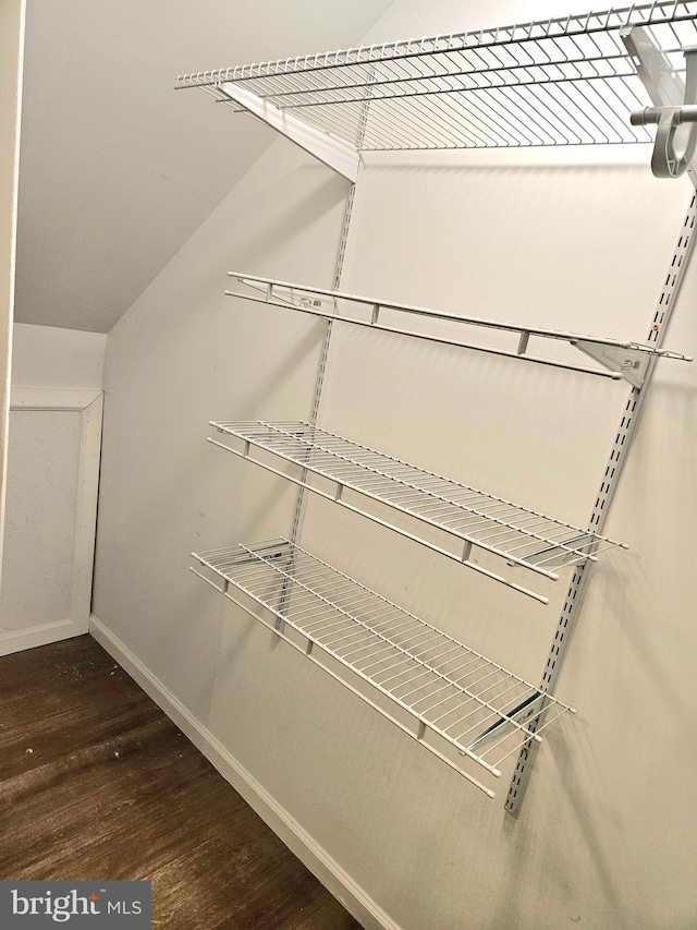 spacious closet featuring wood-type flooring