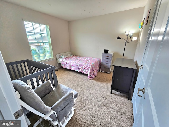 carpeted bedroom with a nursery area