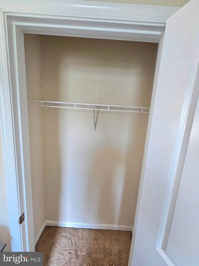 view of closet