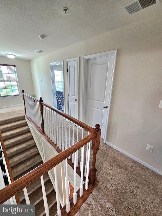 stairway with a textured ceiling and carpet floors