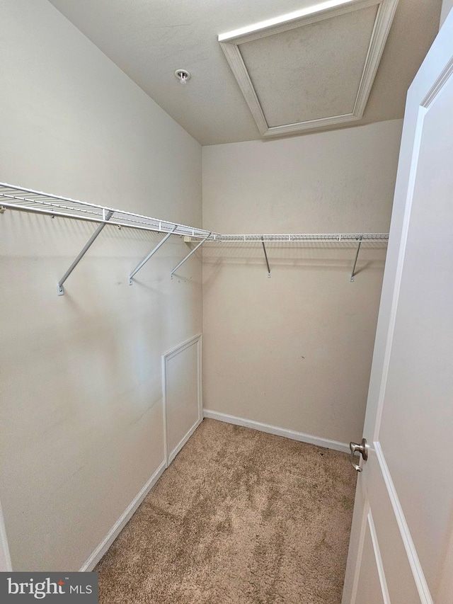 spacious closet with carpet