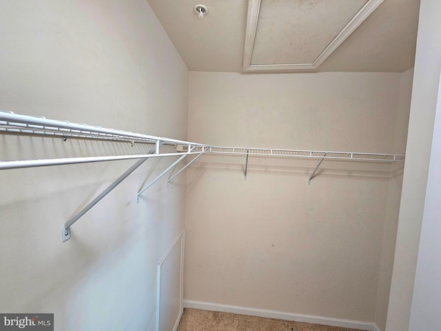 walk in closet featuring light colored carpet