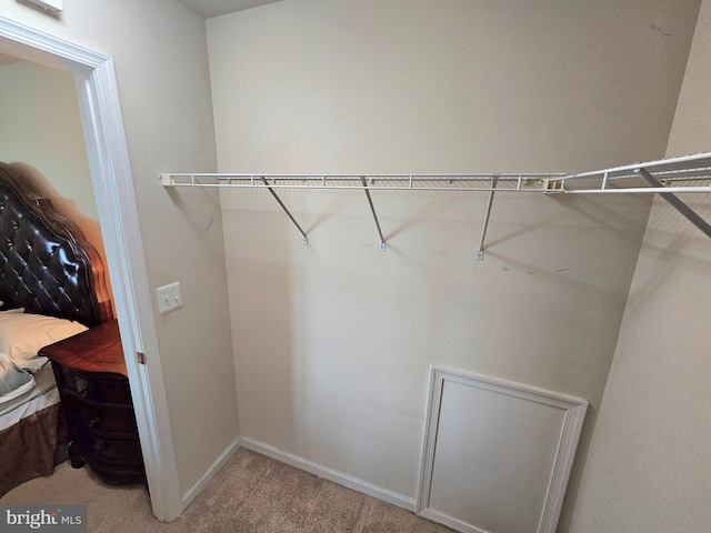 walk in closet with carpet flooring