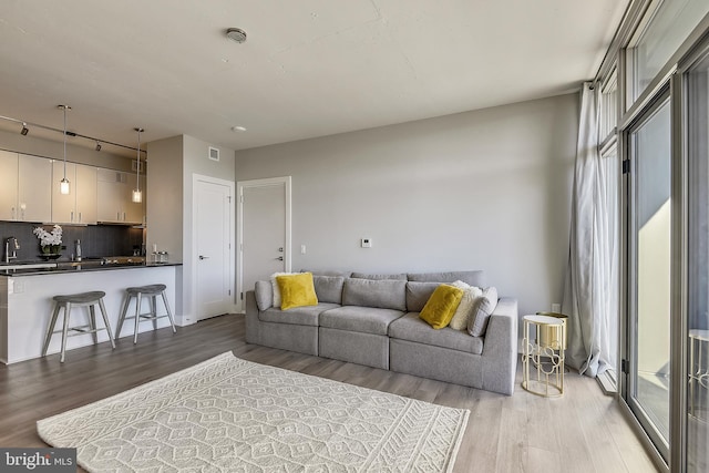 living room with light wood-type flooring