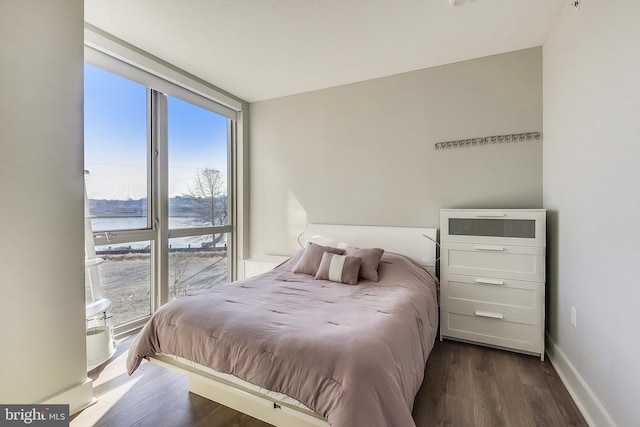 bedroom with a water view, dark wood-type flooring, and multiple windows