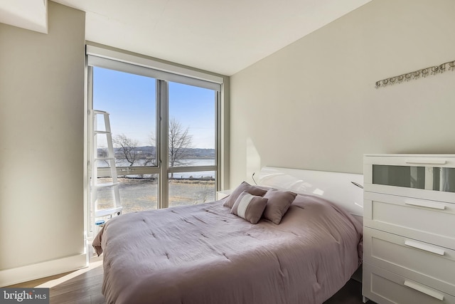 bedroom featuring multiple windows, a water view, and dark hardwood / wood-style floors