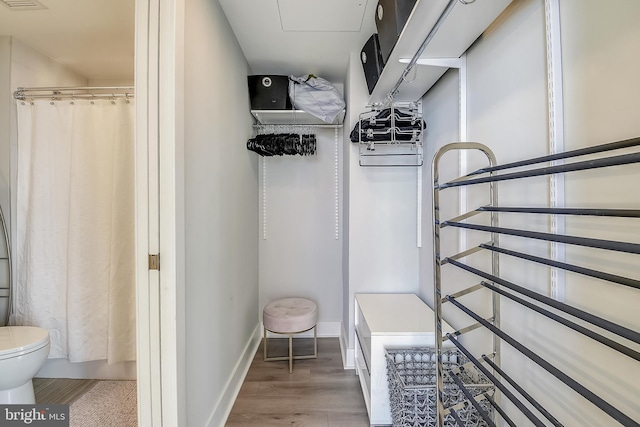 spacious closet with wood-type flooring