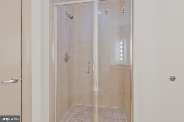 bathroom featuring a shower with shower door