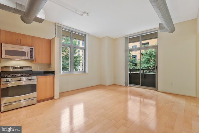 kitchen with light wood-type flooring and stainless steel appliances