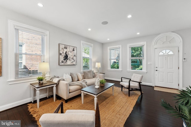 living room with dark wood-type flooring and plenty of natural light