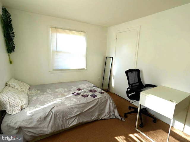 bedroom with carpet floors