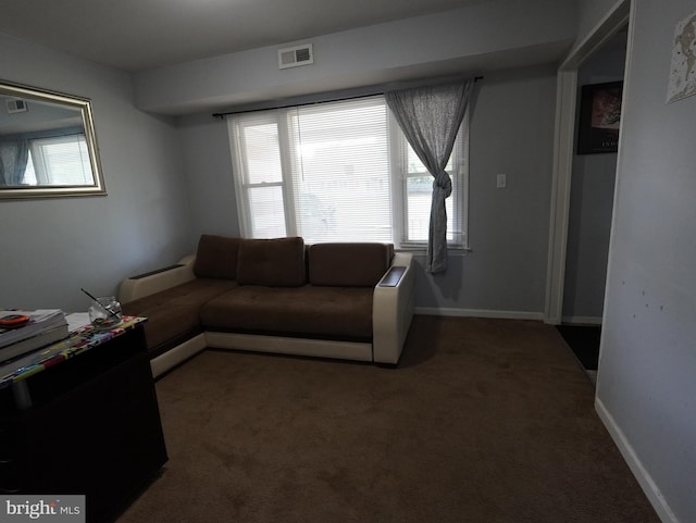 carpeted living room featuring a wealth of natural light