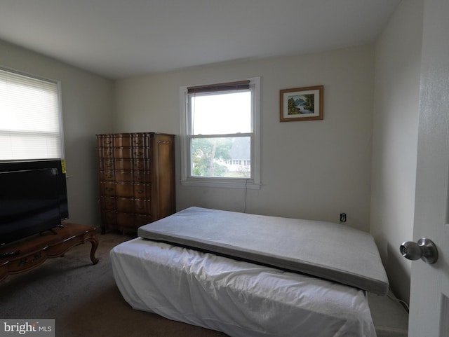 bedroom featuring carpet flooring