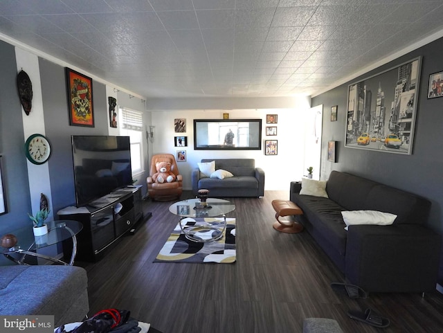 living area featuring wood finished floors