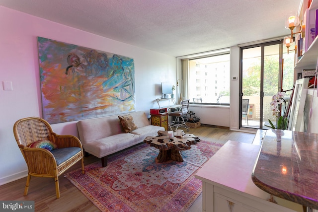 living room featuring a textured ceiling and light hardwood / wood-style flooring