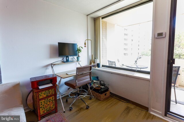 office featuring light hardwood / wood-style floors