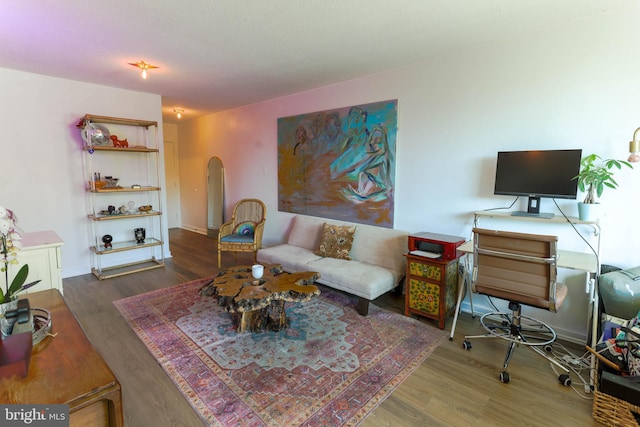 living room featuring hardwood / wood-style flooring