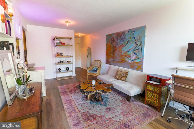 living room with dark hardwood / wood-style floors and a textured ceiling