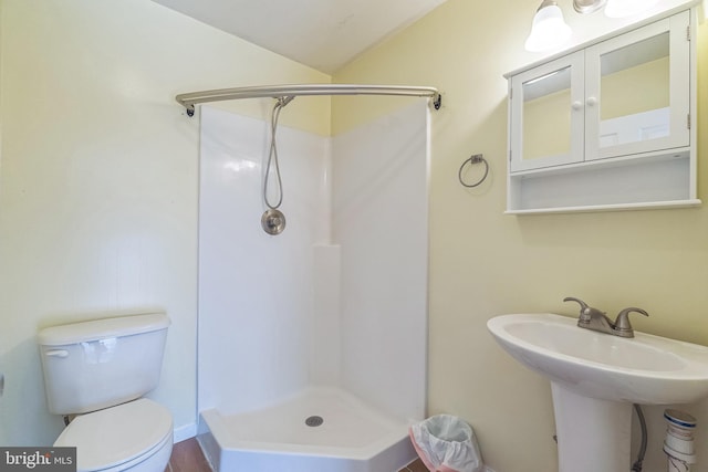 full bathroom with a sink, toilet, and a shower stall