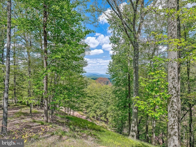 view of landscape