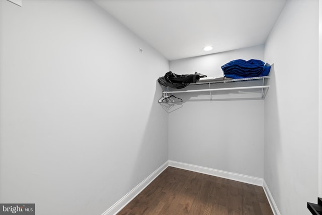 walk in closet with dark wood-type flooring