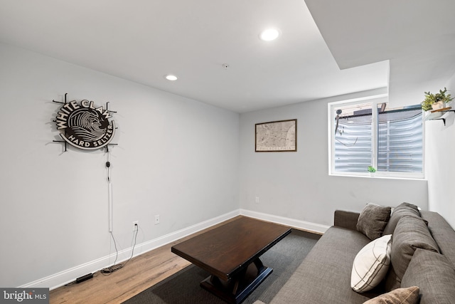 living room featuring wood-type flooring