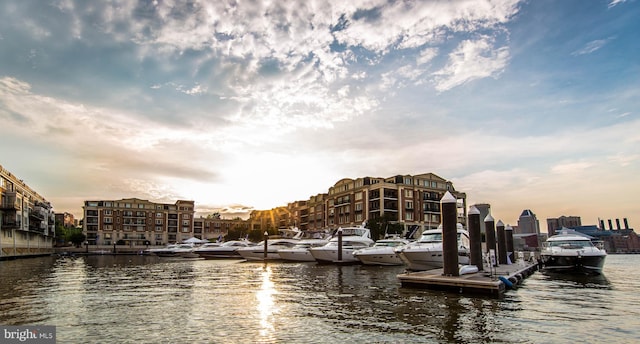 view of water feature with a dock