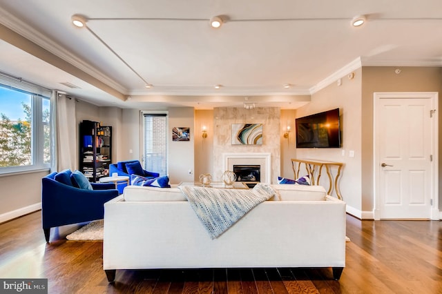 living room with baseboards, a large fireplace, wood finished floors, and crown molding