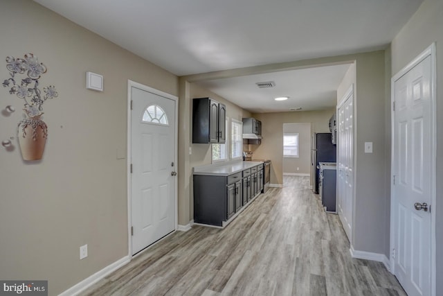 foyer entrance with light hardwood / wood-style floors and a healthy amount of sunlight