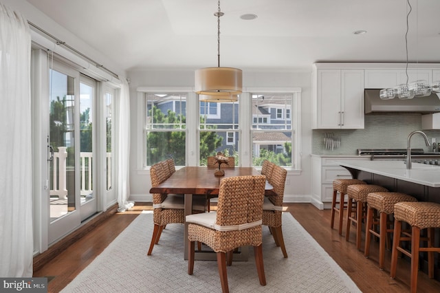 dining room with dark wood-type flooring, a wealth of natural light, and baseboards