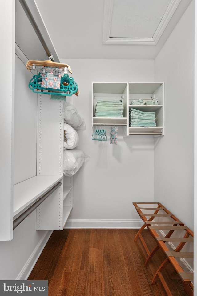 walk in closet featuring wood finished floors