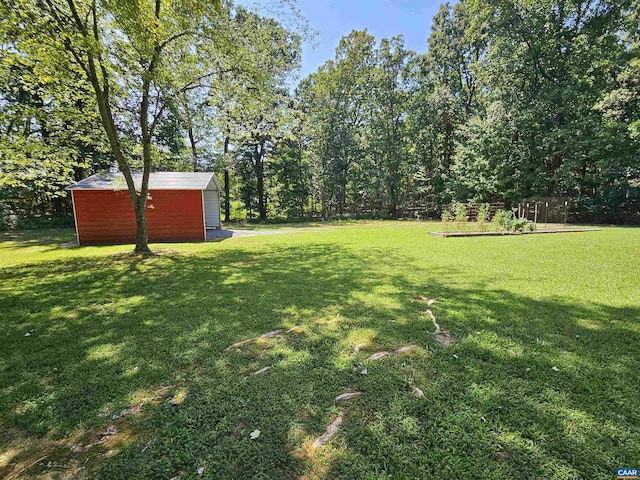 view of yard featuring a shed