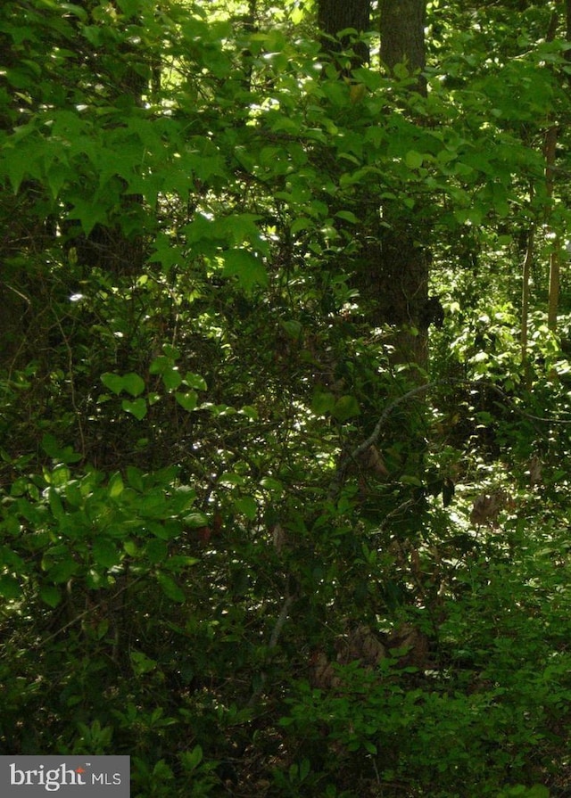 Old Elk Neck Rd, Elkton, MD 21921