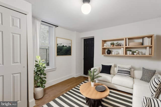 living room with hardwood / wood-style flooring